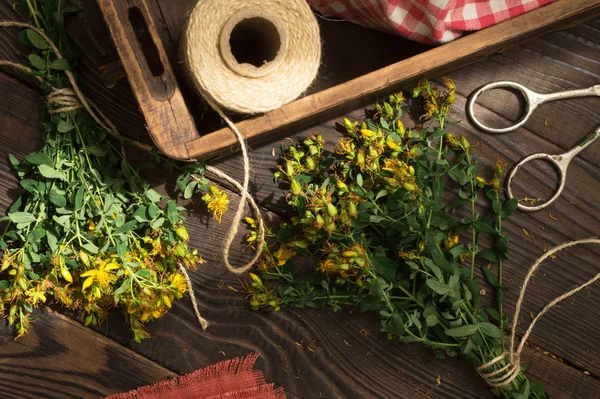 Secado planta medicinal tutsan — Foto de Stock