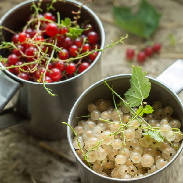 Vita och röda vinbär i metallmuggar — Stockfoto