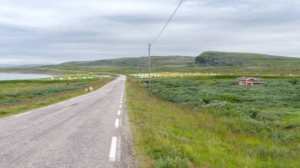 yol boyunca deniz