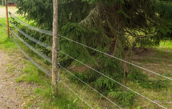 Електричний паркан, що захищає від тварин — стокове фото
