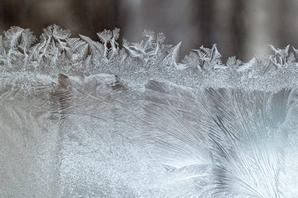 Frosted winter window