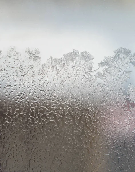 Frosted winter window