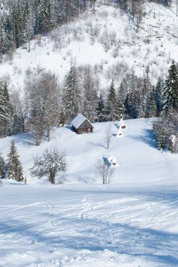 Kışın dağlarda karla kaplı bir ormanda kulübeler