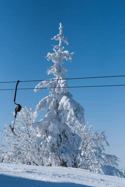 Abeto cubierto de nieve y telesilla —  Fotos de Stock