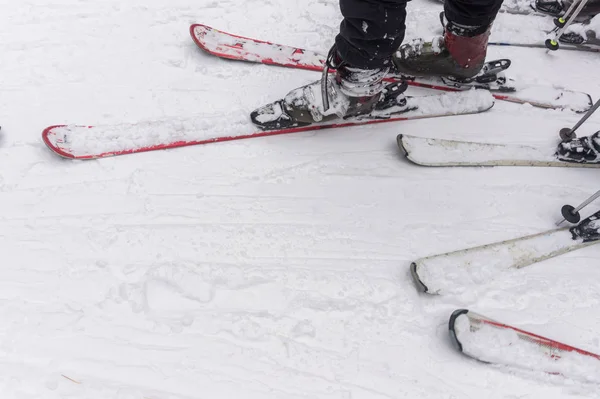 Piernas de esquiadores en la pista de esquí —  Fotos de Stock