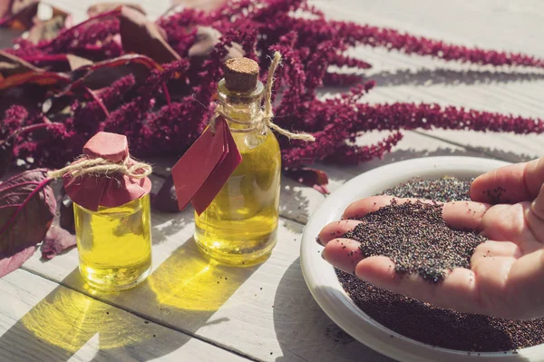 Bottiglie con olio amaranto, piante e semi di amaranto in mano — Foto Stock