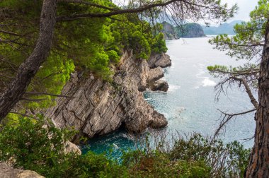 Kayalık uçurum ve turkuaz deniz üzerinde çam