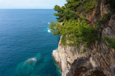 Kayalık uçurum ve turkuaz deniz üzerinde çam