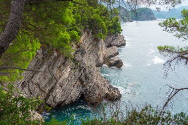Kayalık uçurum ve turkuaz deniz üzerinde çam