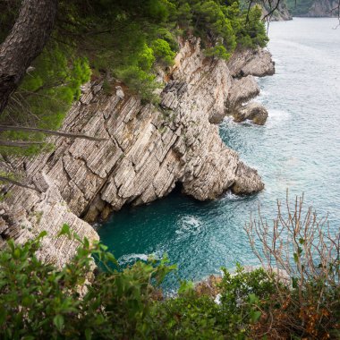 Kayalık uçurum ve turkuaz deniz üzerinde çam