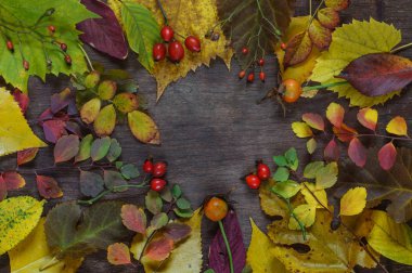 ahşap bir s üzerinde çok renkli yaprakları ve üzüm utumn arka plan
