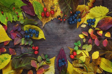 ahşap bir s üzerinde çok renkli yaprakları ve üzüm utumn arka plan