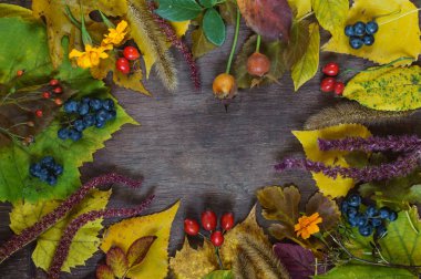ahşap bir s üzerinde çok renkli yaprakları ve üzüm utumn arka plan