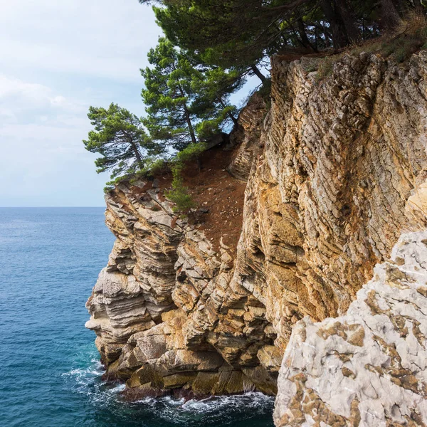 Rocky cliff and pines over turquoise sea — Stock Photo, Image