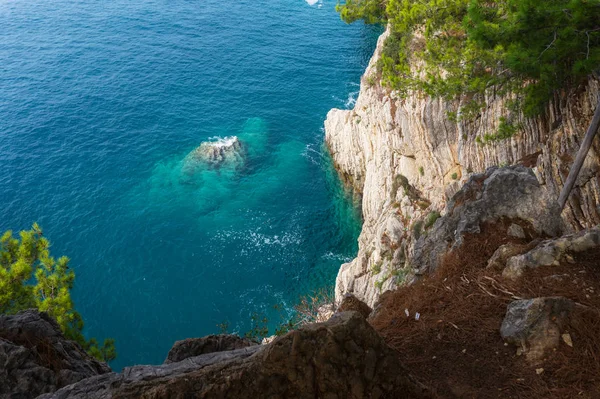 Kayalık uçurum ve turkuaz deniz üzerinde çam