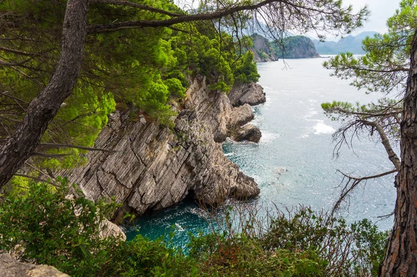 Kayalık uçurum ve turkuaz deniz üzerinde çam