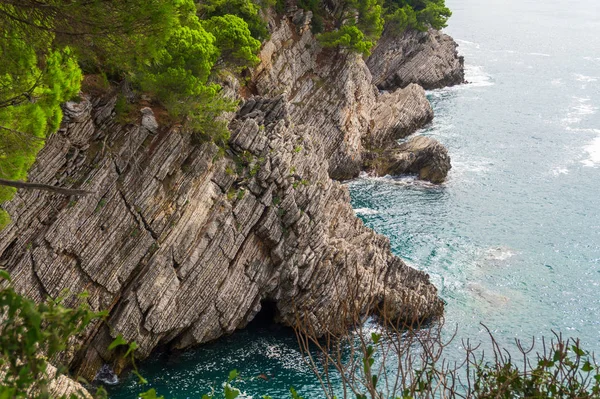 Kayalık uçurum ve turkuaz deniz üzerinde çam