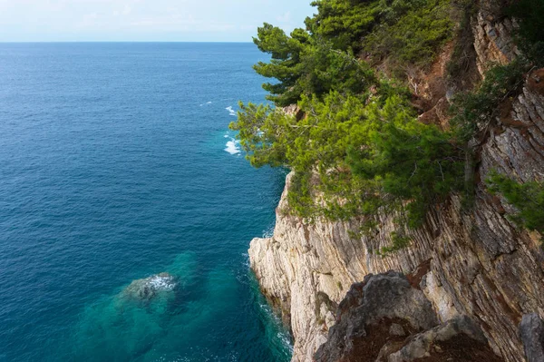 Kayalık uçurum ve turkuaz deniz üzerinde çam