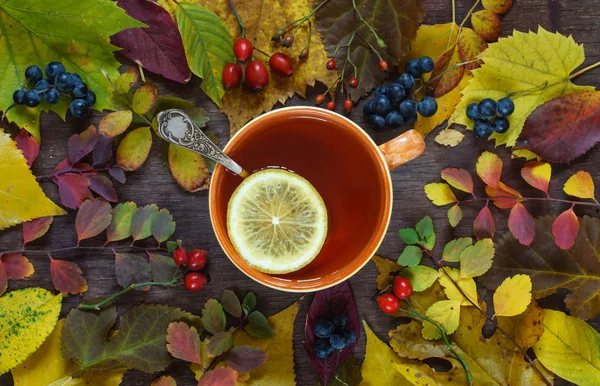 Renkli sonbahar yaprakları ve üzüm bir arka plan üzerinde bir fincan çay