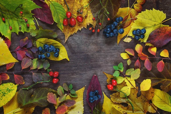 ahşap bir s üzerinde çok renkli yaprakları ve üzüm utumn arka plan