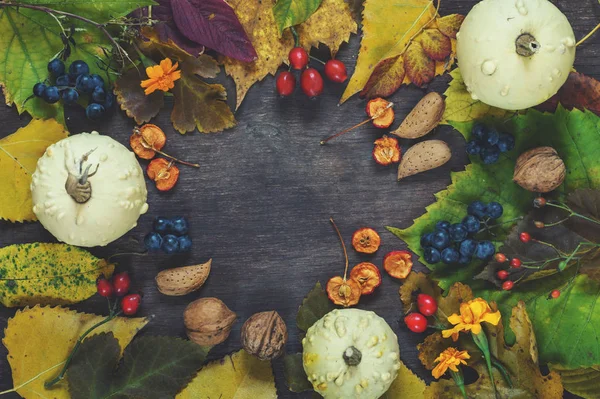 ahşap bir s üzerinde çok renkli yaprakları ve üzüm utumn arka plan