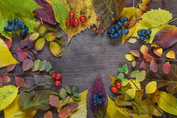 ahşap bir s üzerinde çok renkli yaprakları ve üzüm utumn arka plan
