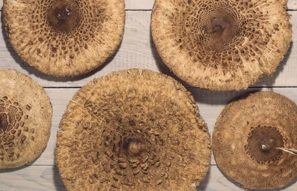 Beyaz ahşap yüzeyüzerinde mantar kapakları arka plan