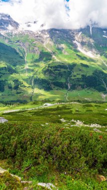Pitoresk dağ yamaçları ve çayırları, Grossglockner High Alpine Road, Avusturya