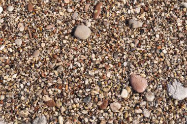 Küçük çok renkli deniz çakıllarından arka plan