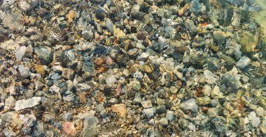 Berrak su ve denizde renkli çakıl taşları