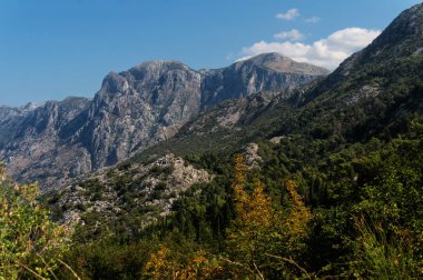 Yaz aylarında Lovcen dağ, Karadağ
