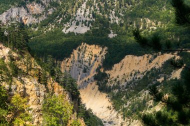 Tara Nehri kanyonundaki pitoresk ormanlık dağlar, Karadağ