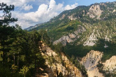 Nehir Tara, Mo kanyonpitoresk ormanlık dağlar