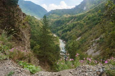 Nehir Tara, Mo kanyonpitoresk ormanlık dağlar