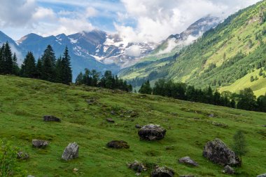 Bulutlarda büyük taşlar ve dağlar ile pitoresk alp vadisi, Avusturya