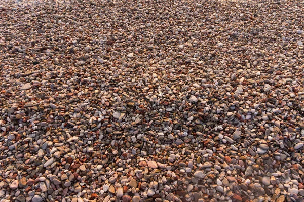 Fundo de pequenas pedras marinhas multicoloridas — Fotografia de Stock