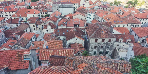 Tile roofs of old town of Kotor, Montenegro — Stock Photo, Image