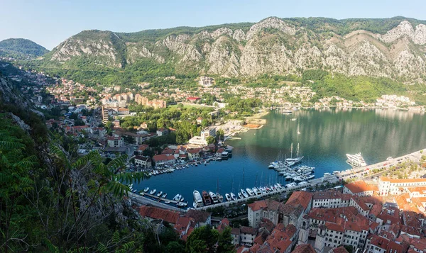 Altstadt von kotor und kotor bucht, montenegro — Stockfoto