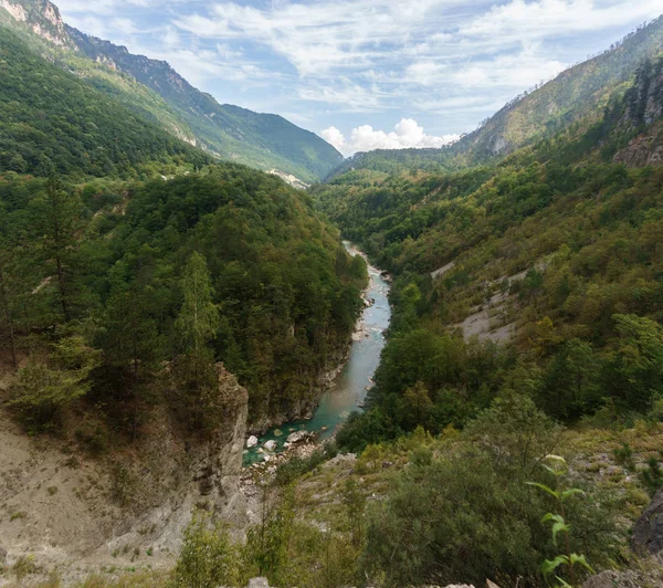 Pittoreska skogklädda berg i ravinen av floden Tara, Montenegro — Stockfoto