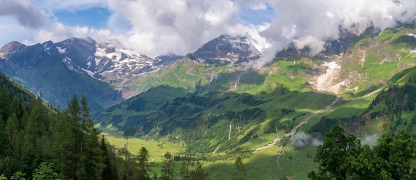 Зеленые аллеи, высокие ели и покрытые снегом горы в облаках, Австрия — стоковое фото