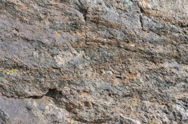 Taş doku. Garnet mika şist büyük katı
