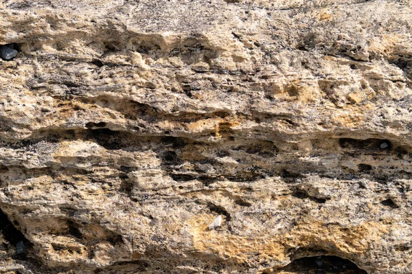 石の質感。セルラードロマイト大固体 — ストック写真