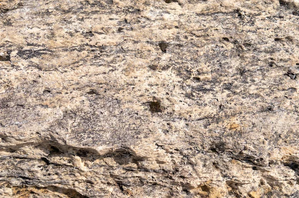 石の質感。セルラードロマイト大固体 — ストック写真