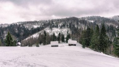 Karlı dağlarda köy kulübeleri ve yeşil ladin ağaçları