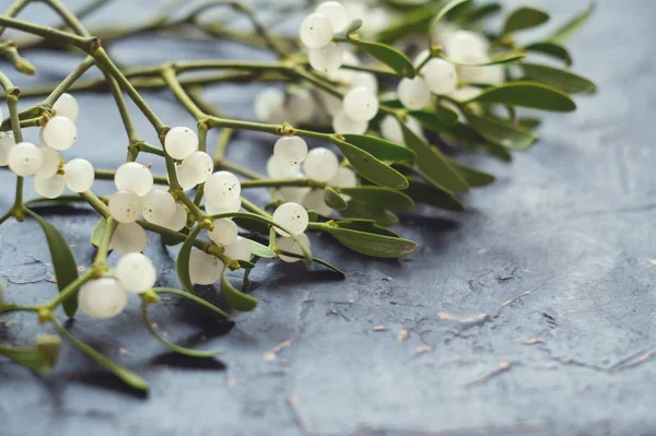 Gri desenli arka planda ökse otu dalı