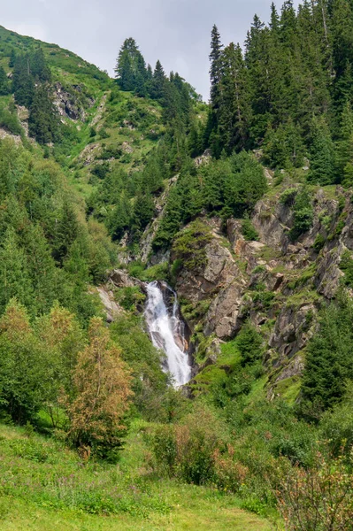 Водопад в скалистых горах, покрытых высокими елками — стоковое фото