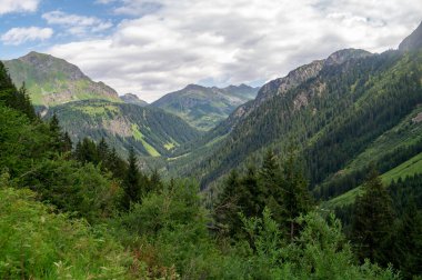 Silvretta Lisesi Alp Yolu boyunca uzanan yaz manzarası, Aust