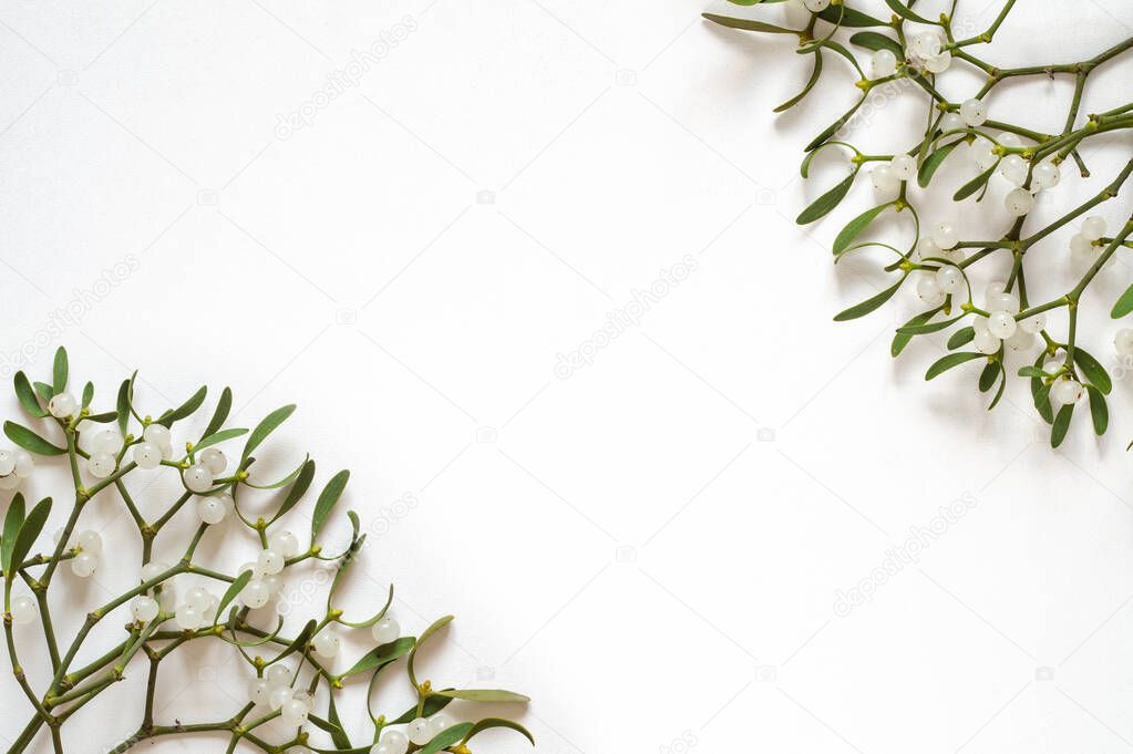 Mistletoe branches on a white background