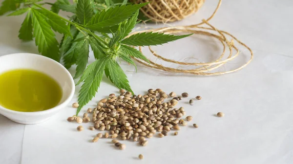 Concepto de productos de cáñamo. Aceite de semilla de cannabis, madeja y planta verde — Foto de Stock