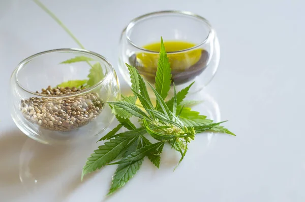 Hemp products concept. Cannabis seed oil and green plant — Stock Photo, Image